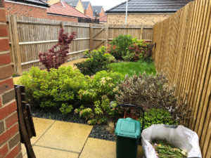 narrow back garden with lawns, planting and small gate at the far end