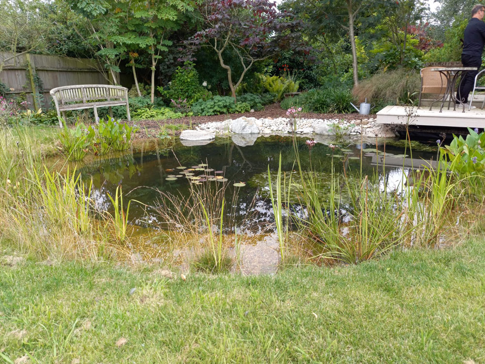 wildlife pond with overhanging deck