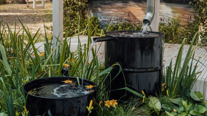 How to make the most of a wet garden - Hollandscapes