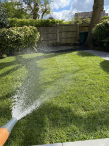 Watering newly laid lawn with a hosepipe