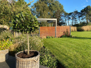 well maintained garden with neat lawn and pretty plants