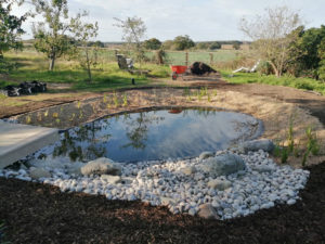 pebble beach created beside a new wildlife pond in tiptree