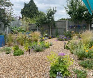 carefully designed and professionally built gravel garden with beautiful plant combinations