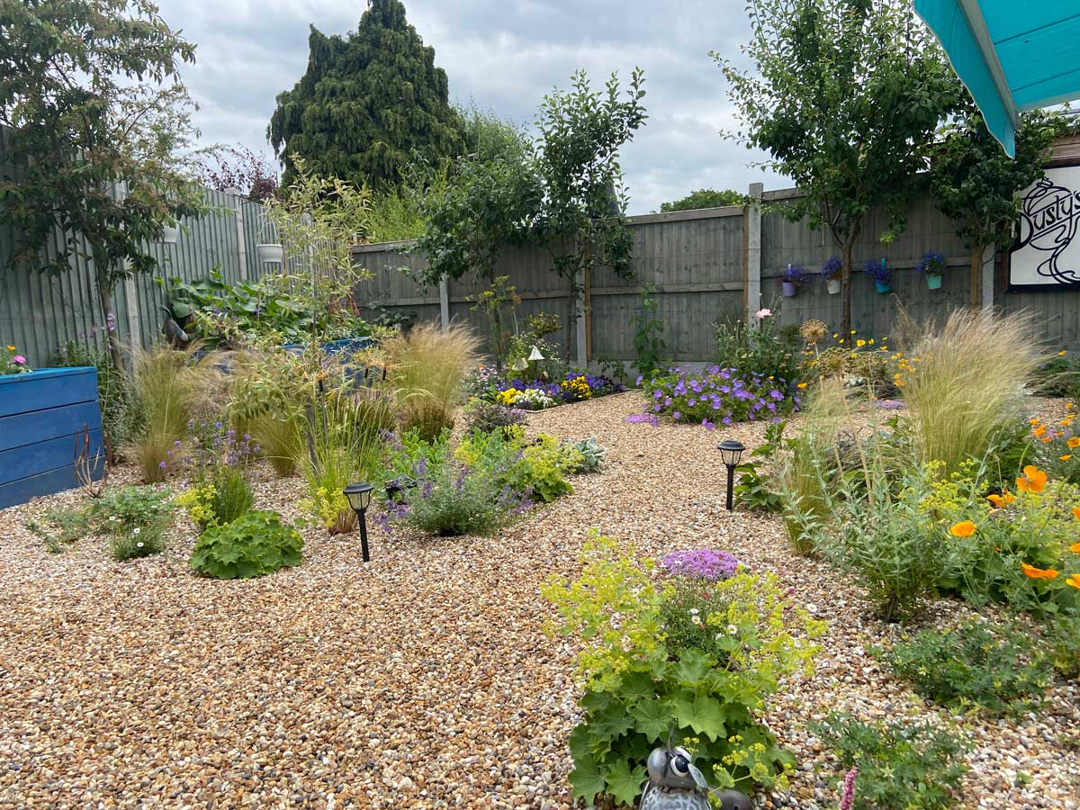 carefully designed and professionally built gravel garden with beautiful plant combinations
